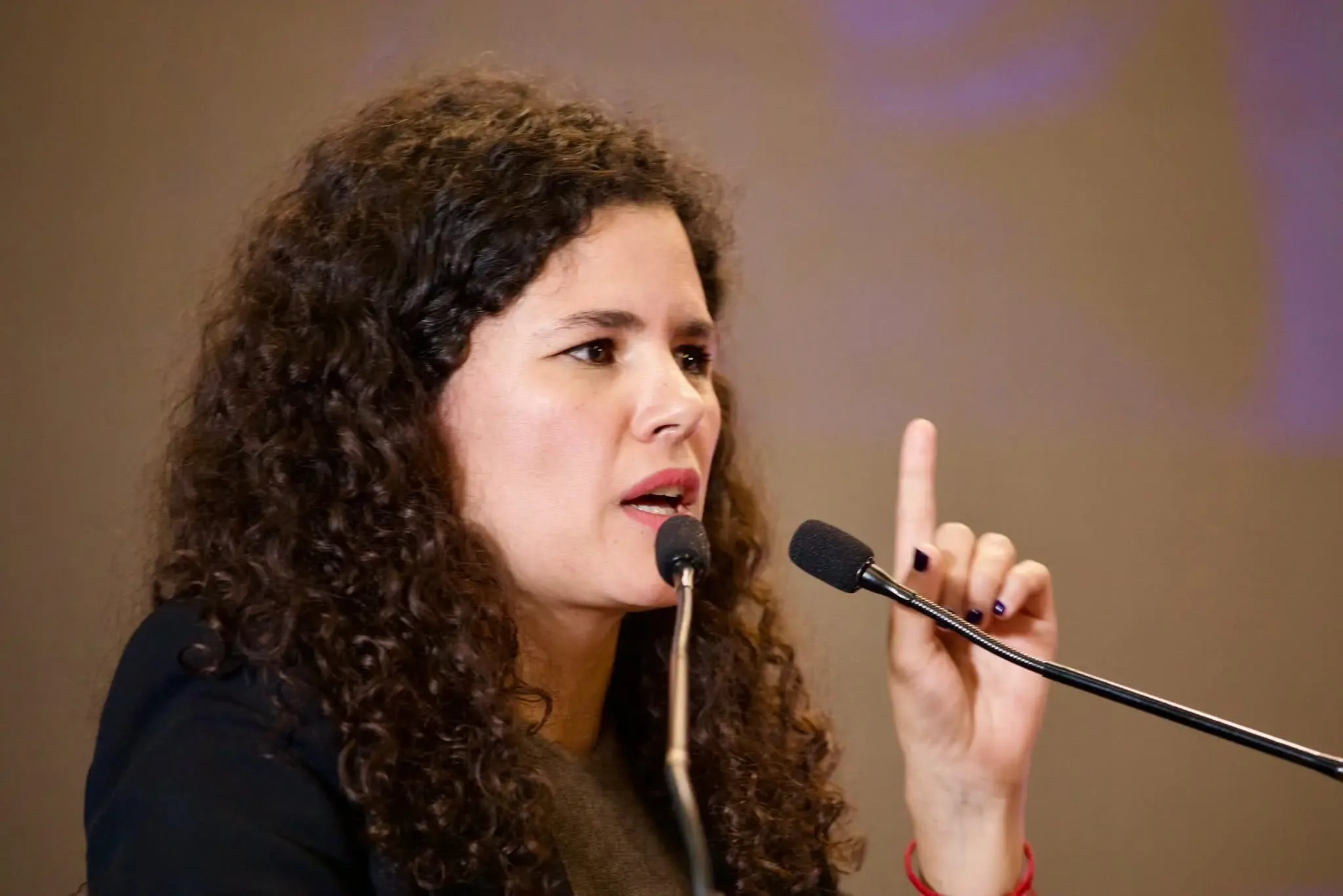 Luisa María Alcalde llama a la cohesión en Morena ante las elecciones de 2027.