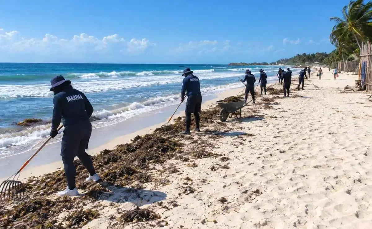 La Marina coordinará esfuerzos para mantener limpias las playas de Quintana Roo.