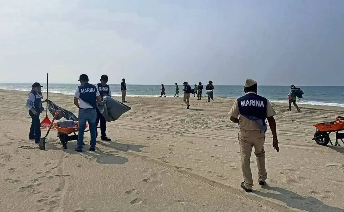 La recolección de basura en playas protege el ecosistema marino y la fauna en peligro de extinción.