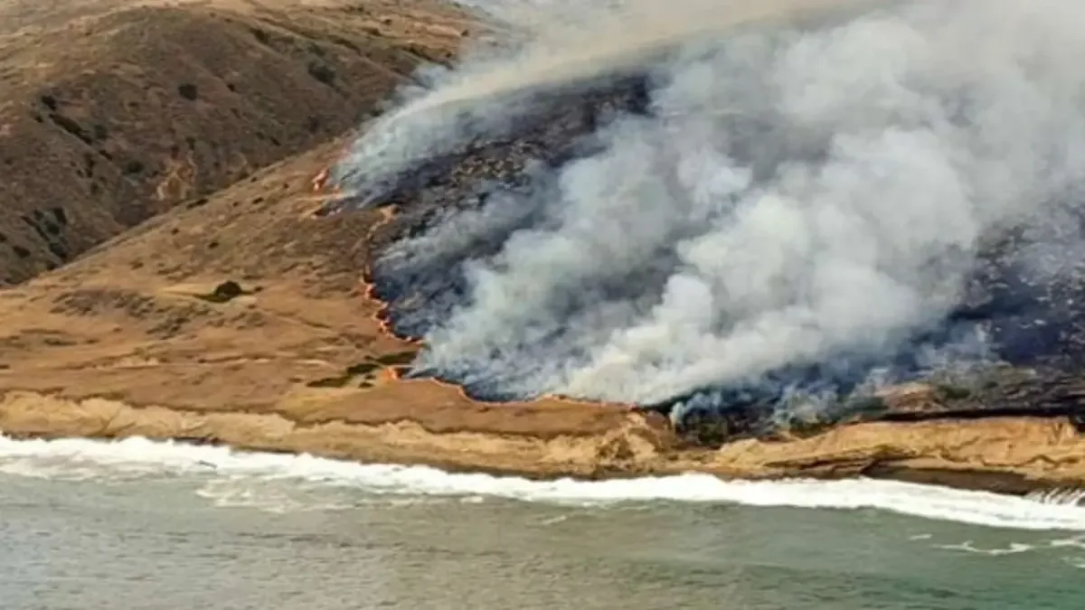 Un incendio devastador en California fue desatado accidentalmente por un marinero atrapado en una isla remota.