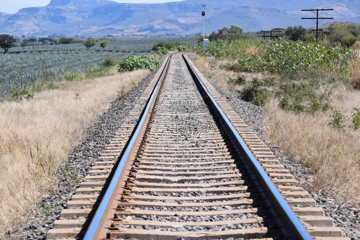 La falta de asignación presupuestaria pone en duda la viabilidad del Tren Sinaloense, según el diputado.