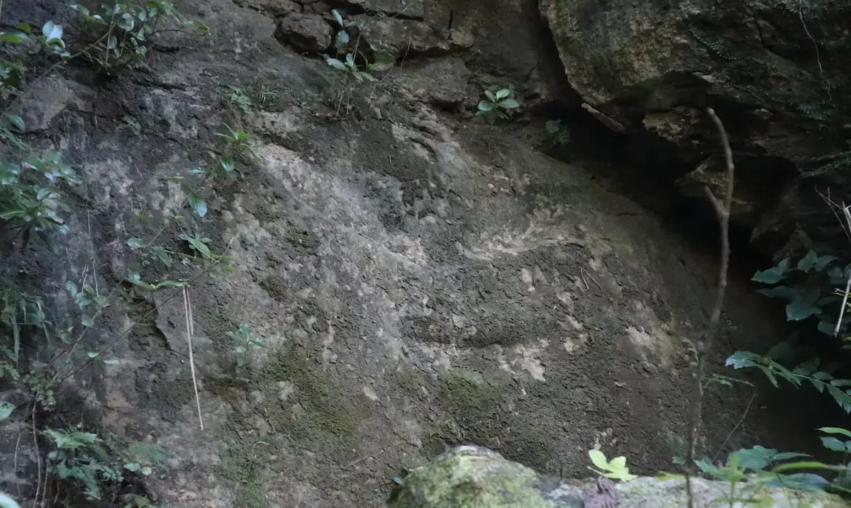 Marocael se erige como un símbolo cultural en Utuado, Puerto Rico, recordando la conexión ancestral con la naturaleza.