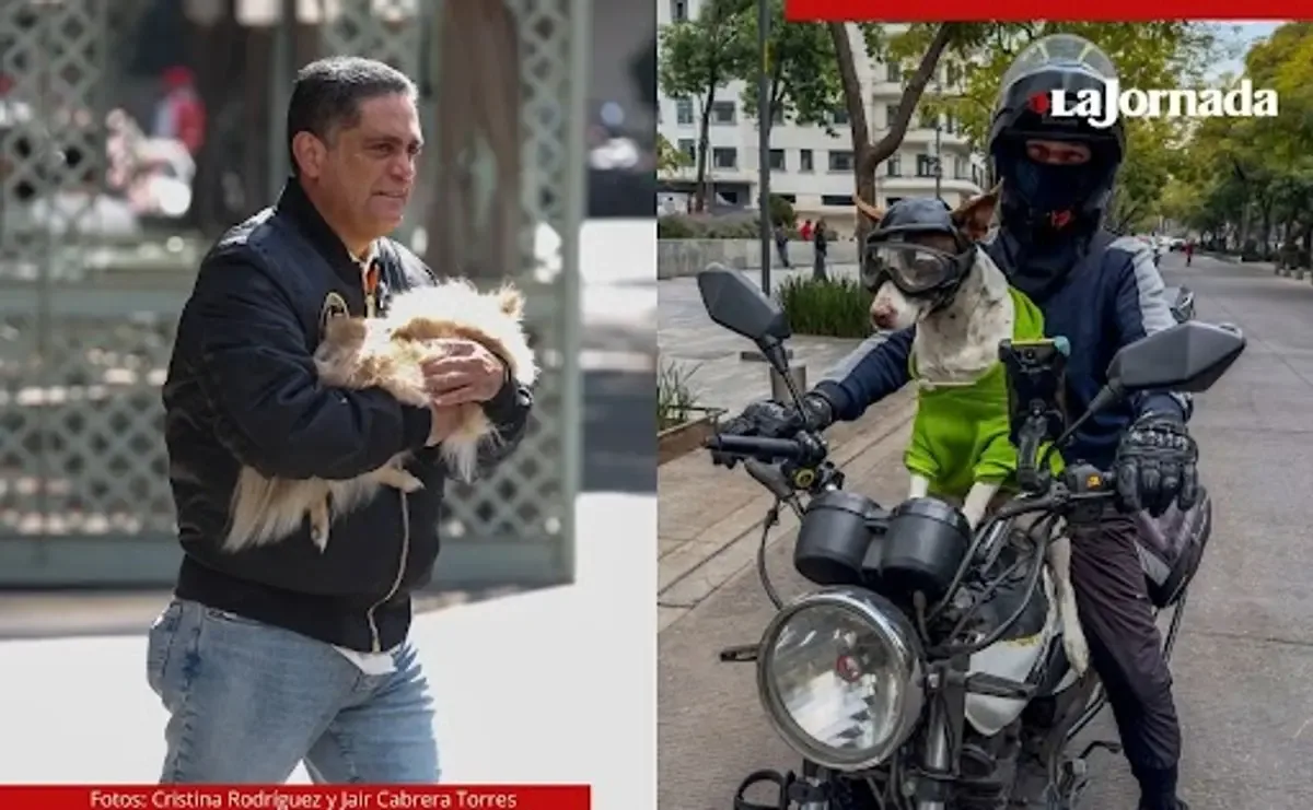 Mascotas se vuelven parte fundamental de las familias mexicanas.