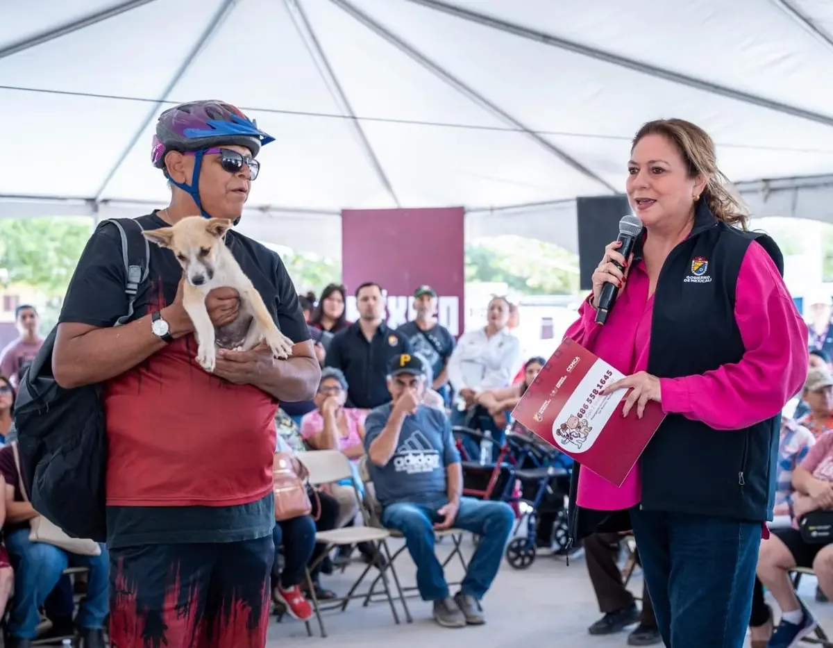El Ayuntamiento impulsa el bienestar animal y la salud pública con campañas de vacunación y control en comunidades.