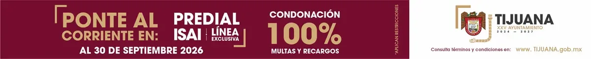 La Dirección de Movilidad Sustentable ofrece servicios para mejorar la seguridad vial en la ciudad.