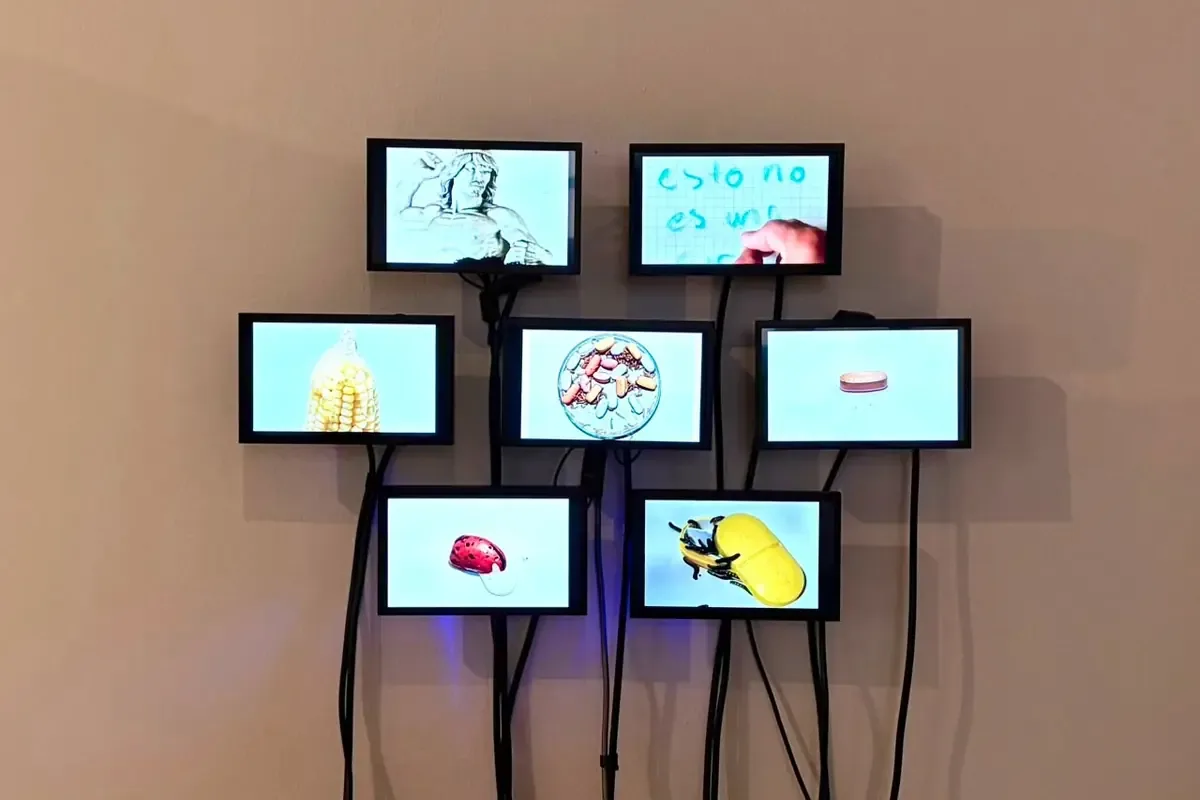 La exposición ofrece una reflexión sobre temas actuales a través de la fotografía contemporánea.