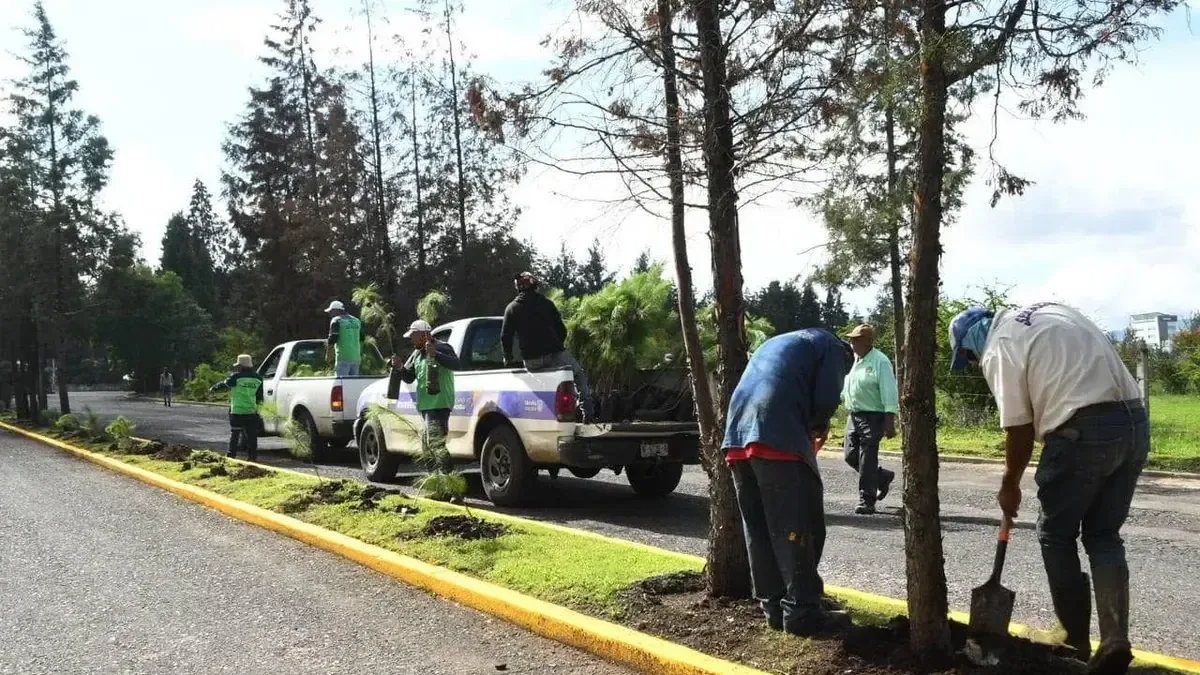 La campaña busca restaurar ecosistemas dañados y fortalecer la biodiversidad en la entidad.