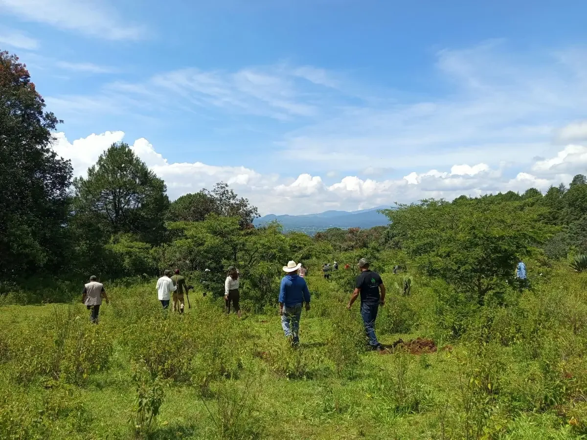 La expansión del Sistema Estatal de Áreas de Conservación resguarda la biodiversidad y servicios ecosistémicos esenciales.