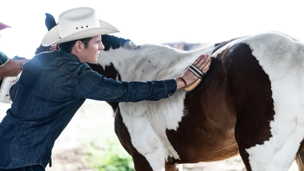Este nuevo refugio en Nuevo León busca promover el bienestar animal y la conciencia social.