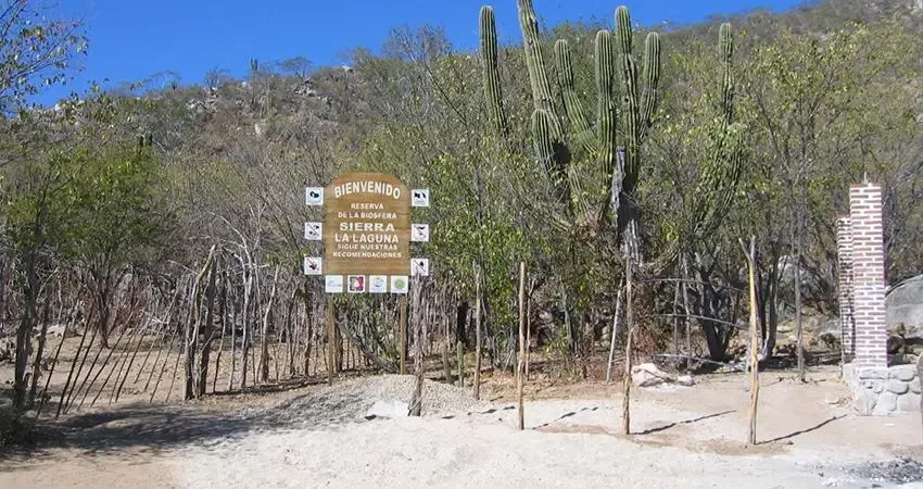 Milena Quiroga aboga por la inclusión de rancheros en proyectos de conservación.