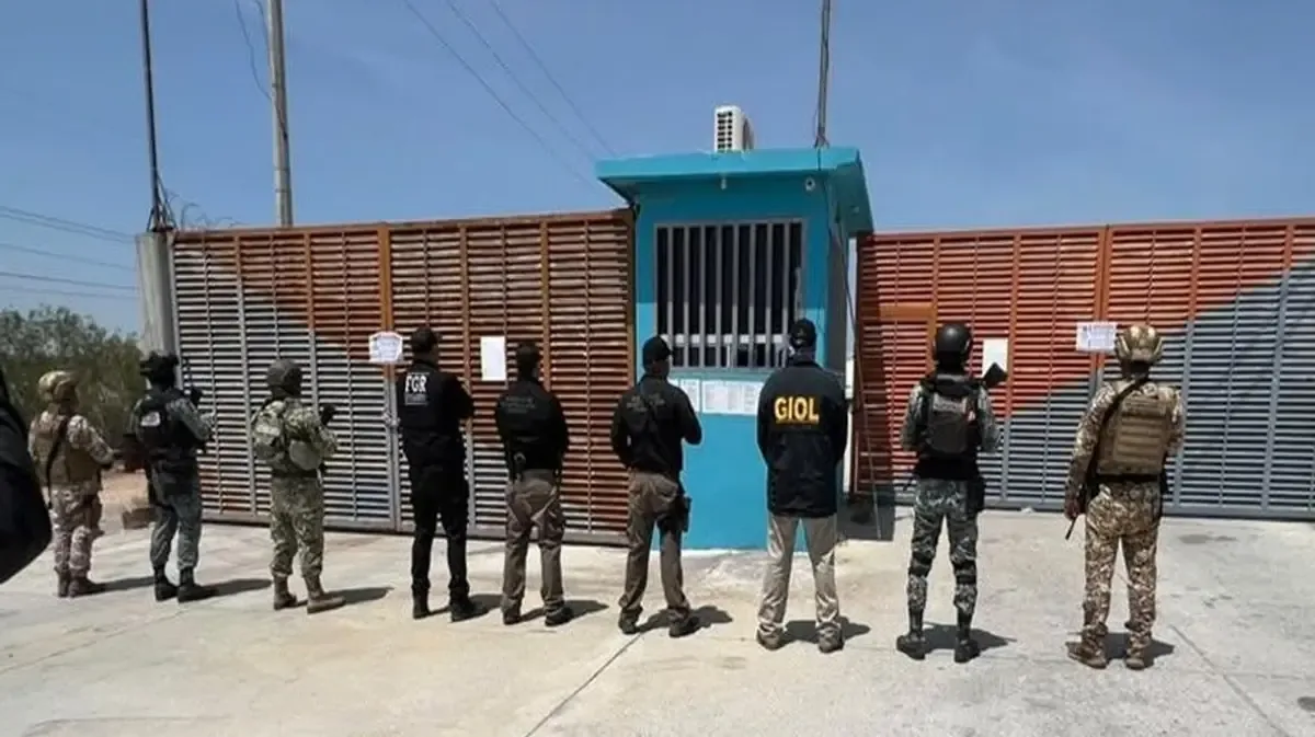 Operativos coordinados entre fuerzas federales revelan la magnitud del decomiso en Reynosa.