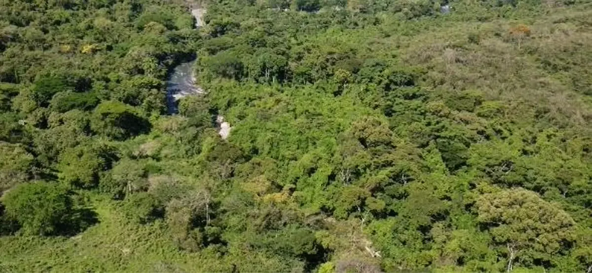 La decisión del Ministerio de Ambiente impacta la protección del agua en Santurbán.