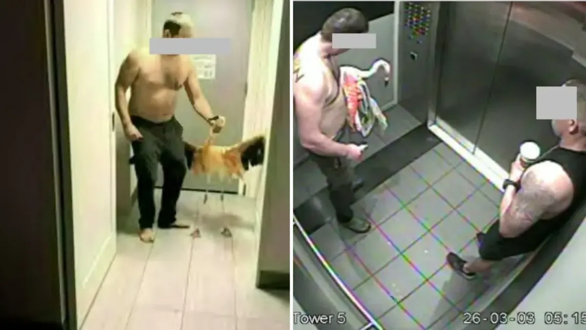 Mitchell Fairbarn enfrenta cargos graves tras presuntamente agredir a un flamenco en un hotel de Las Vegas.