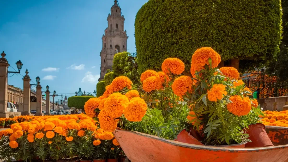 La ciudad refuerza su oferta turística con actividades culturales y promoción en otras entidades.