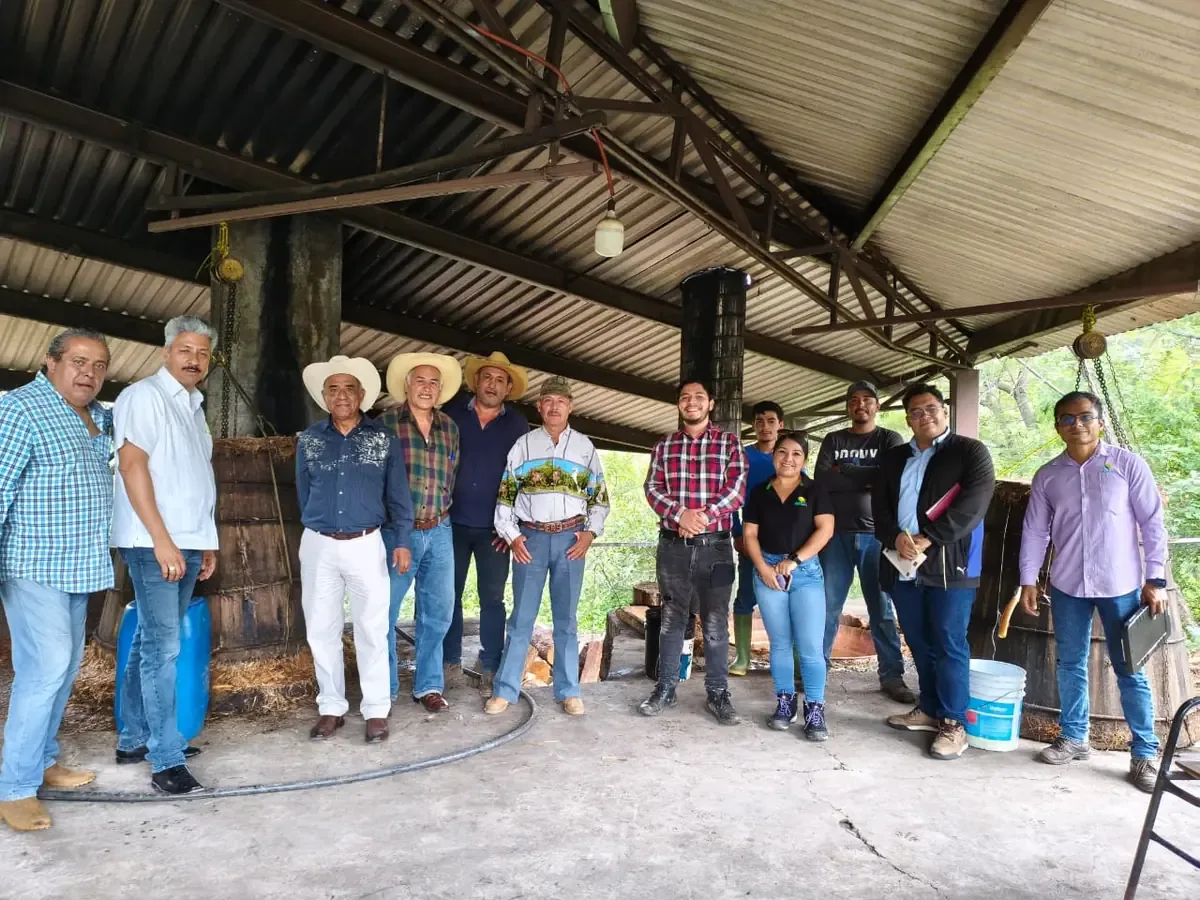 La certificación del mezcal busca mejorar la competitividad en el mercado nacional e internacional.