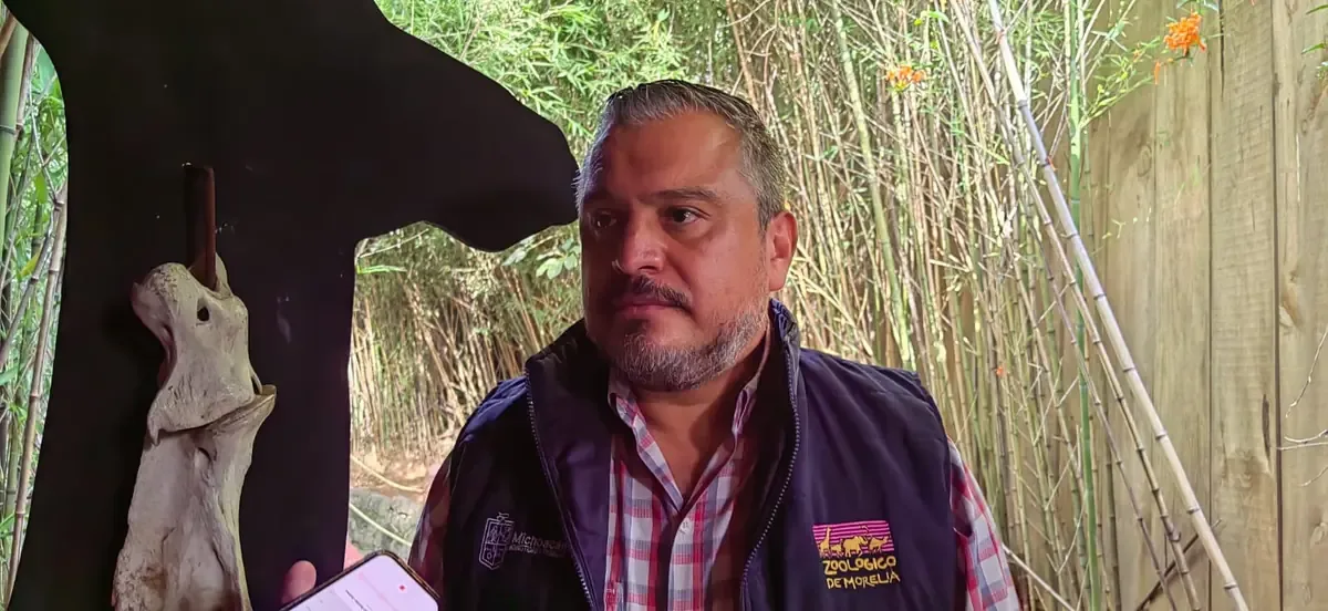 El zoológico de Morelia enfrenta saturación y busca alternativas para rescatar a más animales.