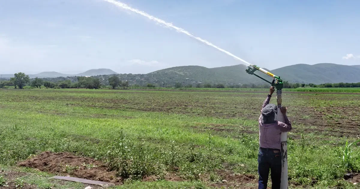 La inversión busca optimizar el uso del agua y mejorar la productividad agrícola en Morelos.