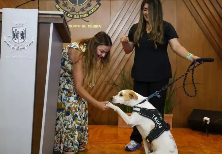 Iniciativas buscan fomentar la adopción responsable y mejorar el bienestar animal en el municipio.