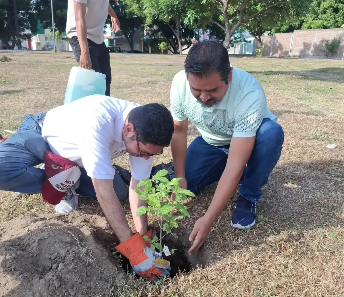 Veracruz participa en jornada nacional para plantar millones de árboles, promoviendo un entorno más verde y sostenible.