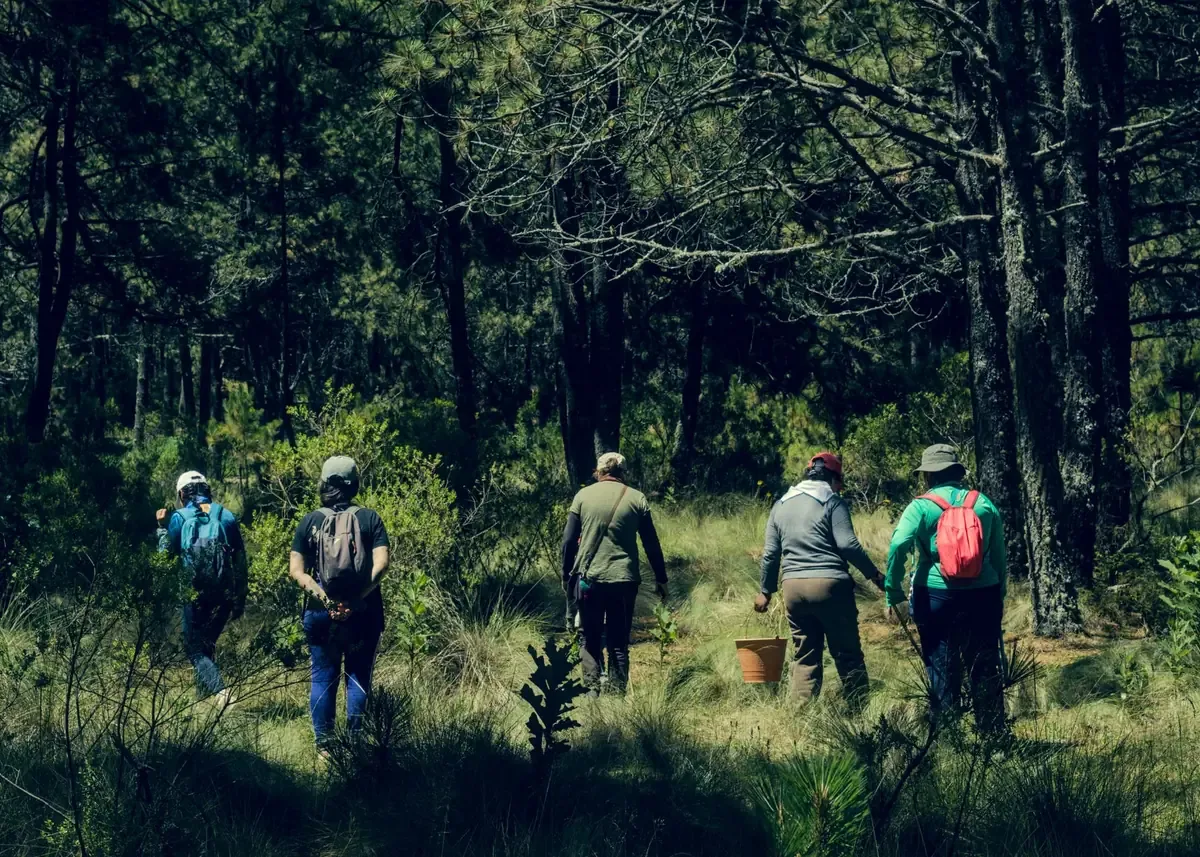 La jornada de reforestación busca restaurar ecosistemas afectados en la región.