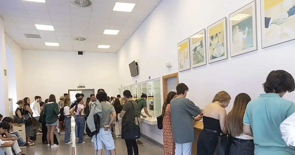 La inserción laboral entre graduados varía por género y área de estudio.