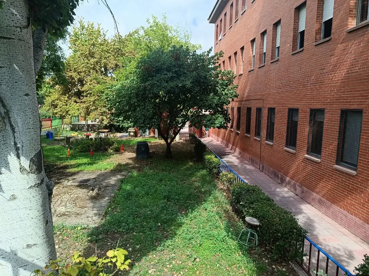 El Ayuntamiento busca mejorar la sombra y el bienestar del alumnado en espacios escolares.