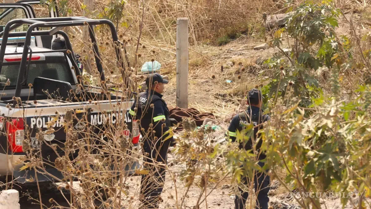 El creciente número de homicidios de mujeres en Mazatlán ha generado preocupación en la comunidad local.