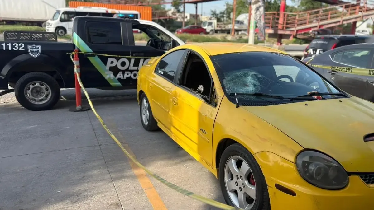 El conductor se dio a la fuga, pero fue detenido horas después.