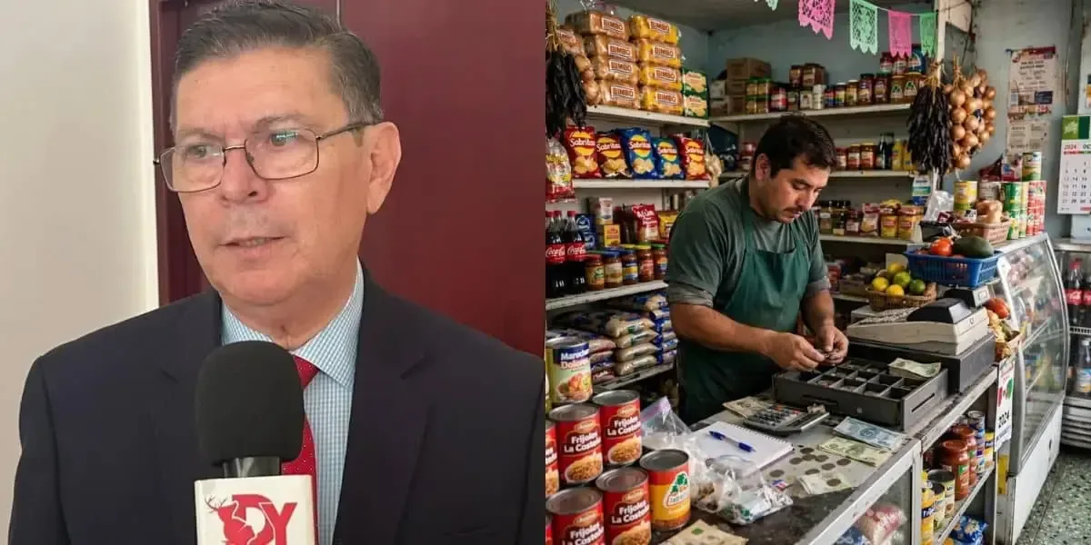 La importancia de dinamizar el mercado interno y diversificar exportaciones para el crecimiento económico.