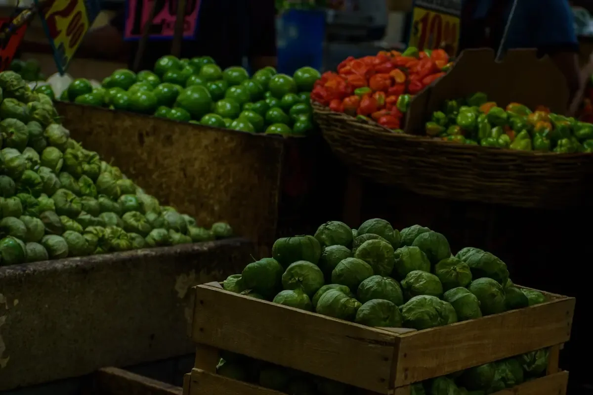 La diversificación en el sector agroalimentario es clave para aumentar el valor agregado y mejorar el empleo en áreas rurales.