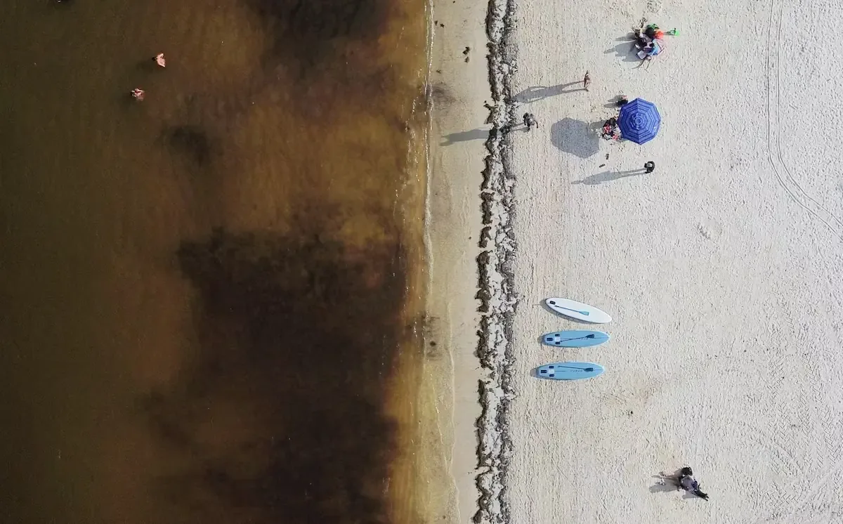 La estrategia integral busca proteger las playas del Caribe mexicano y mitigar el daño turístico.