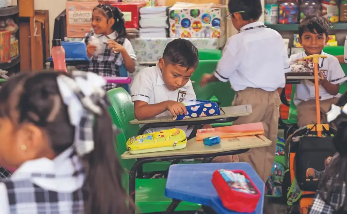 La OCDE señala disminuciones críticas en educación superior y preescolar en México.