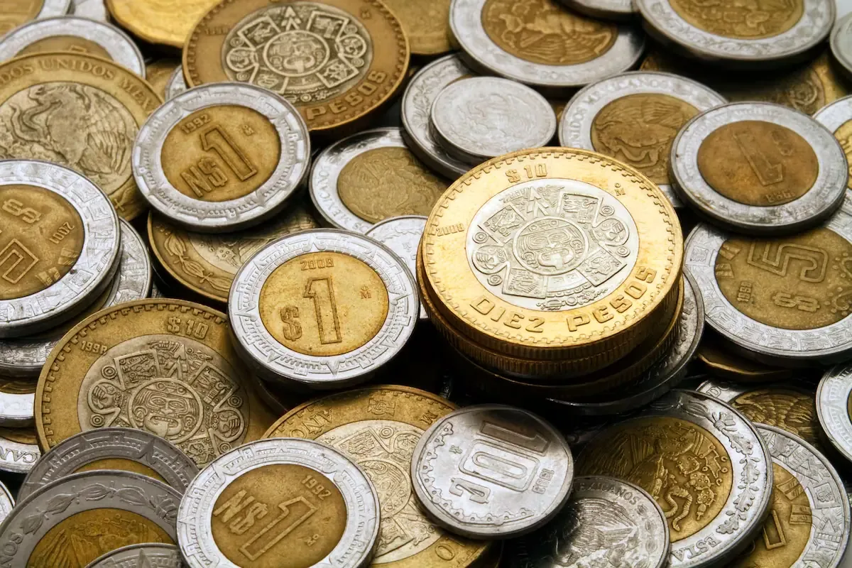 Las expectativas económicas mejoran gracias a la inversión y un sector exportador sólido.