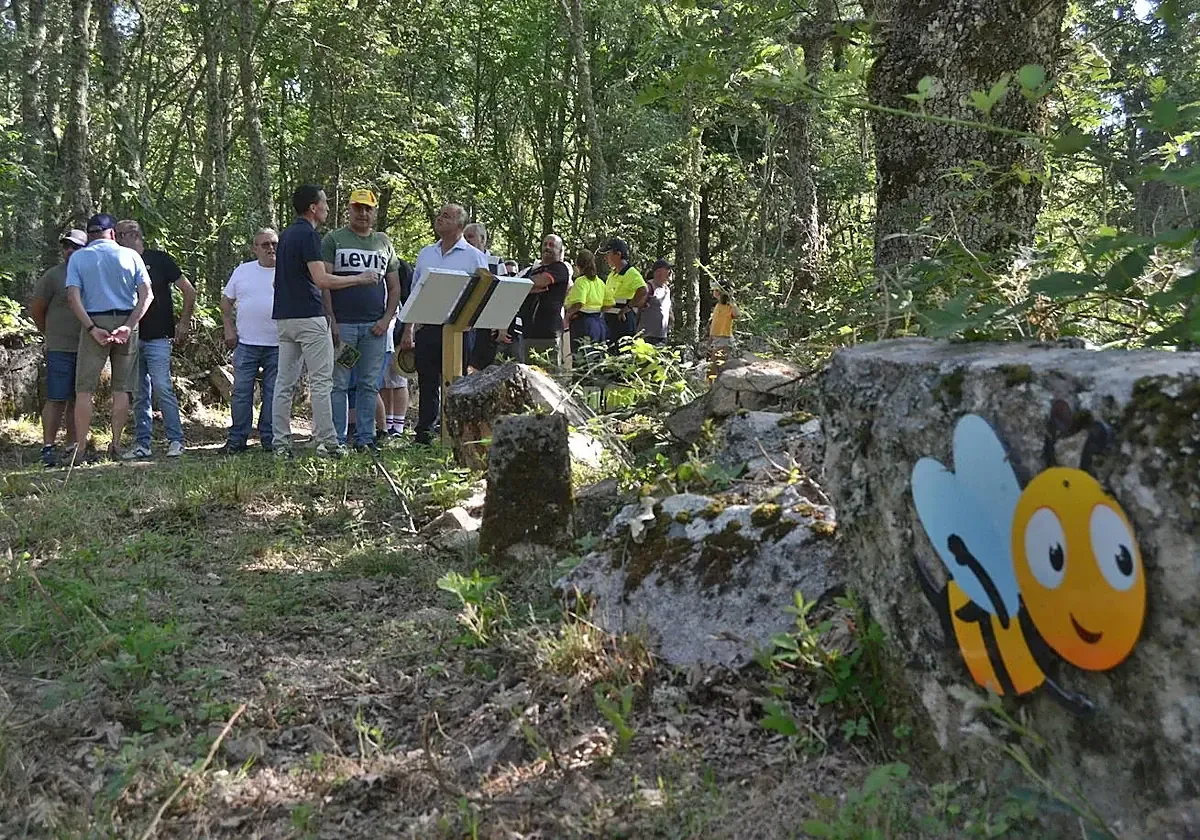 La nueva atracción busca fomentar el turismo y resaltar la belleza natural del municipio.