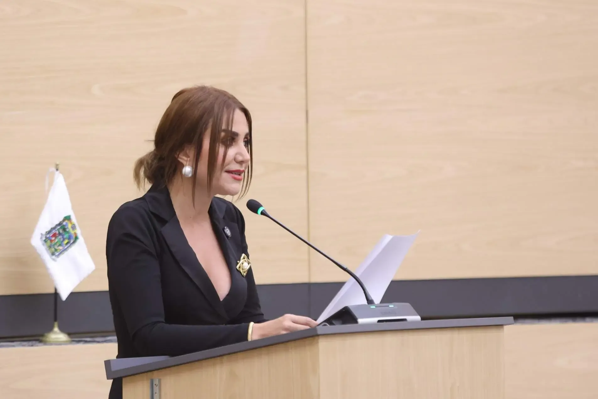 "Nayeli Salvatori Bojalil presenta su iniciativa en el Congreso de Puebla."