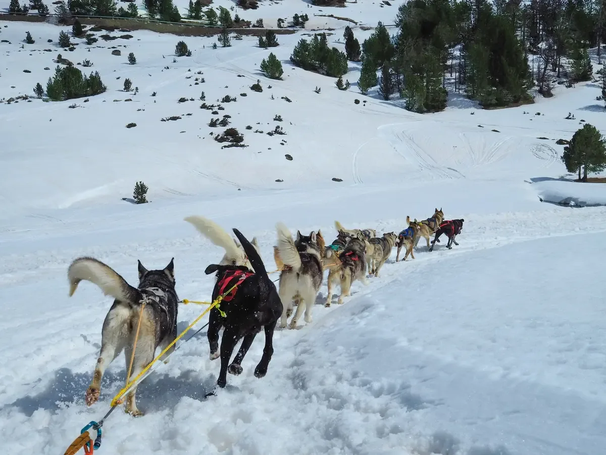 La temporada invernal 2026 en Neuquén generó una inversión turística superior a 260 mil millones de pesos.