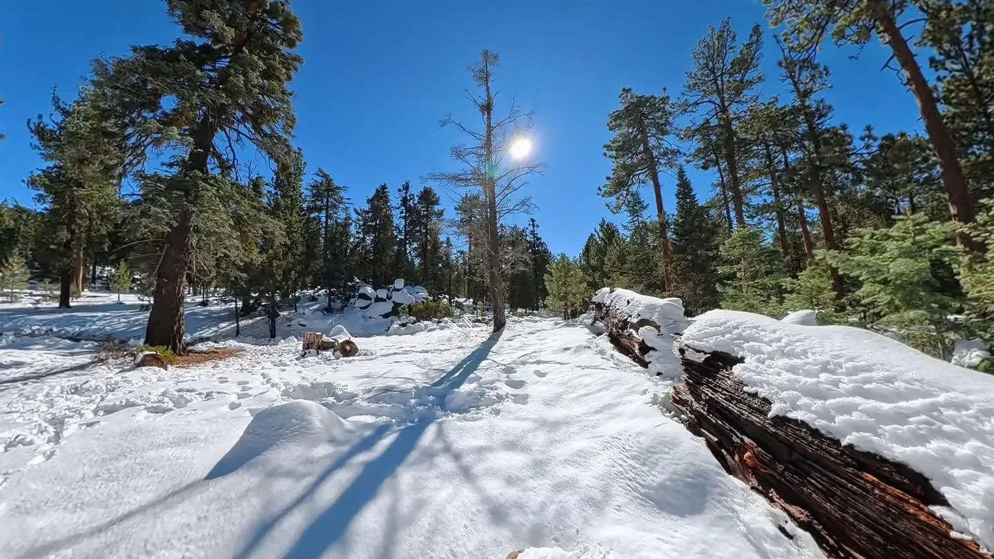 "Nevada en la Sierra de San Pedro Mártir, un paisaje invernal en Baja California."