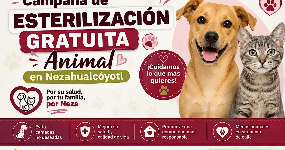La jornada busca fomentar la tenencia responsable de animales en la comunidad mexiquense.
