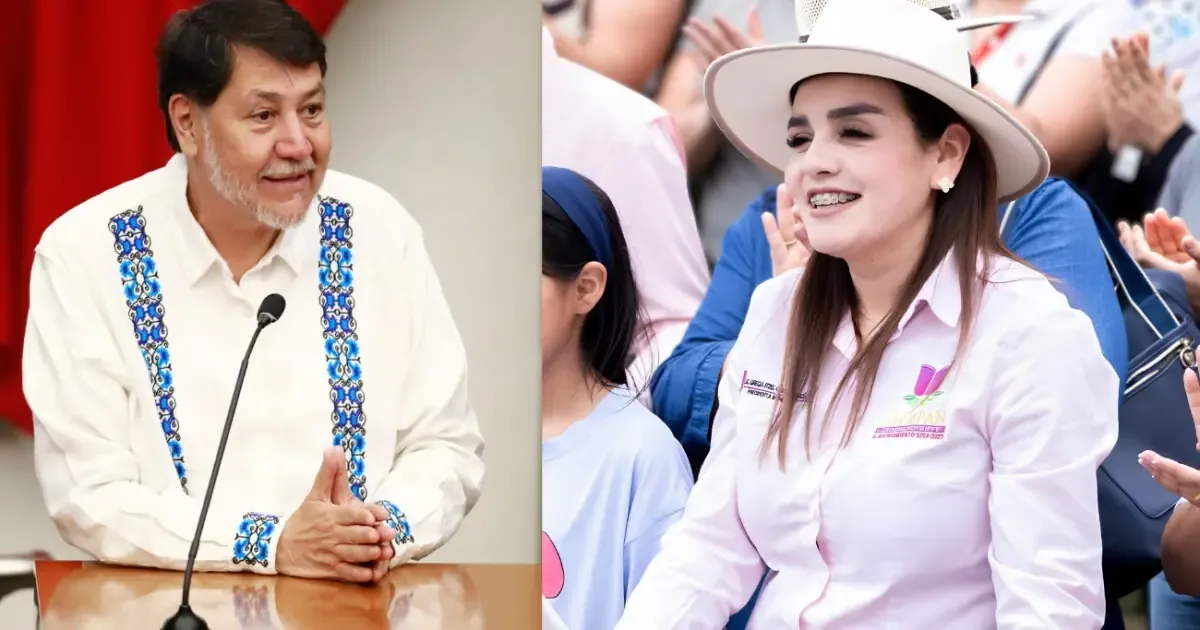 El Tribunal Electoral de Michoacán determinó que el senador cometió violencia política en razón de género.