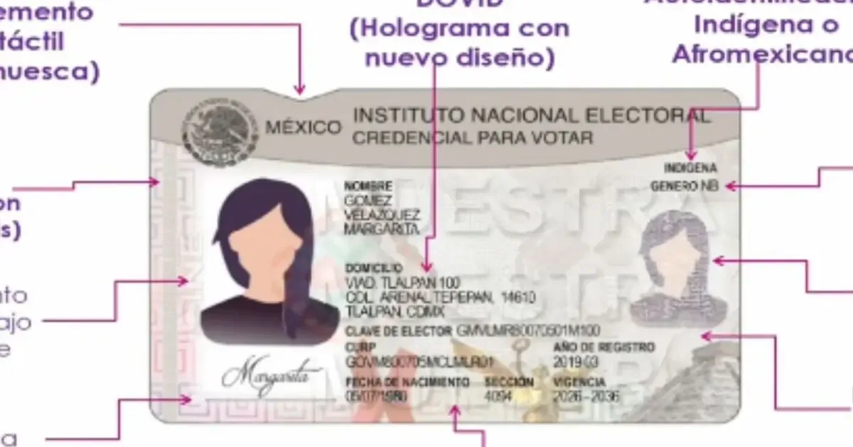 El INE revela detalles sobre la nueva credencial que busca mejorar la seguridad y la inclusividad.