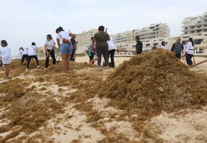Nuevas barreras anti sargazo listas para proteger las playas quintanarroenses.
