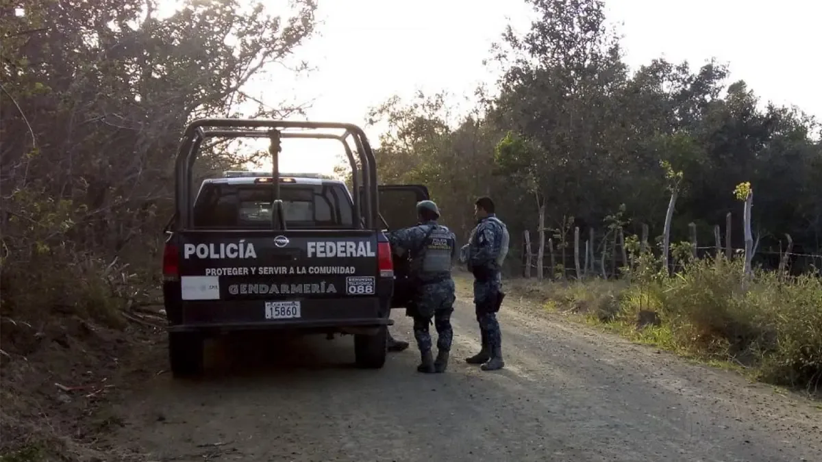 La investigación avanza con la identificación de implicados en el feminicidio de Dafne y otros casos en Tamaulipas.