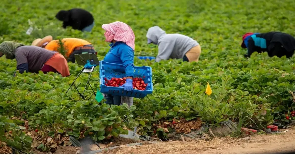 Un decreto ejecutivo estadounidense alerta sobre los envíos de dinero que realizan los migrantes indocumentados.