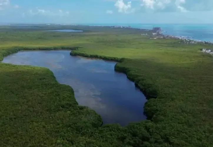 Observación de aves en la Laguna Chacmuchuc, un nuevo destino ecoturístico.