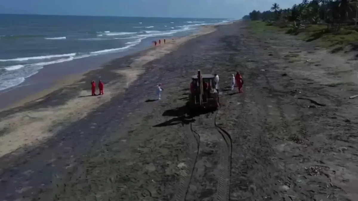 Océanos en riesgo tras el derrame de hidrocarburos en playas del Golfo de México.