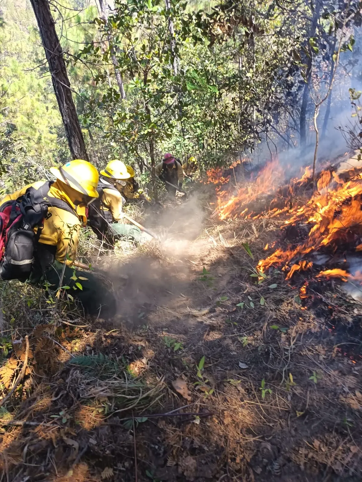 Ocho incendios en distintas localidades fueron controlados gracias a la rápida intervención de brigadas de rescate.