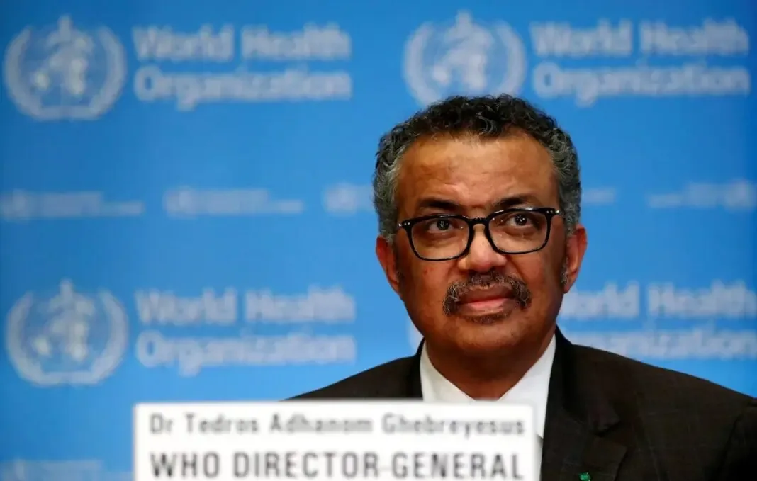 La Organización Mundial de la Salud descarta que el hantavirus sea comparable al Covid-19, asegurando bajo riesgo para la salud pública.