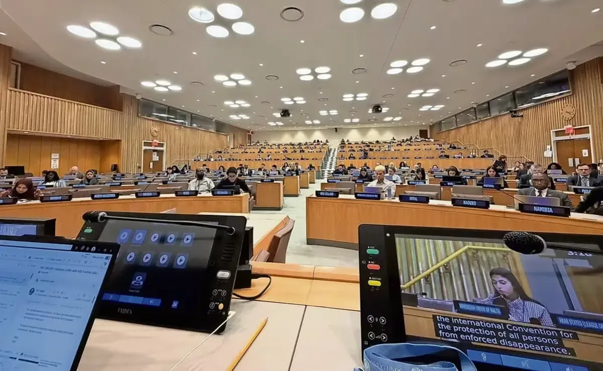 La ONU sugiere asistencia ante indicios de desapariciones forzadas en el país.
