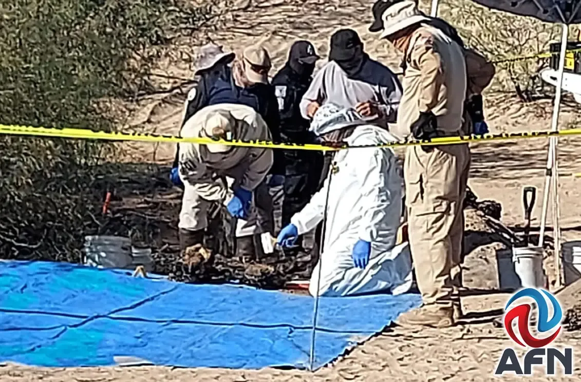 Operativo de búsqueda en Miguel Alemán tras hallazgos de cuerpos.