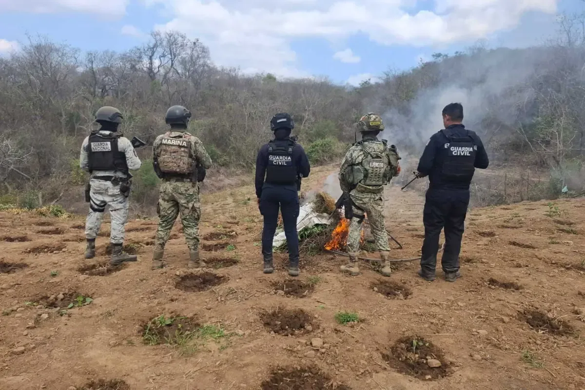Operativo del Plan Michoacán busca combatir la producción de drogas en la región.